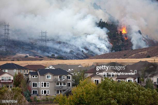colorado wild fire burns behind homes - forest fire stockfoto's en -beelden
