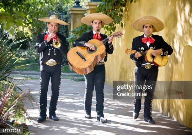 mariachi band - mariachi stock pictures, royalty-free photos & images