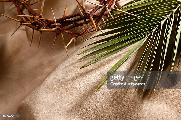 crown of thorns and palm branch - palm sunday stock pictures, royalty-free photos & images