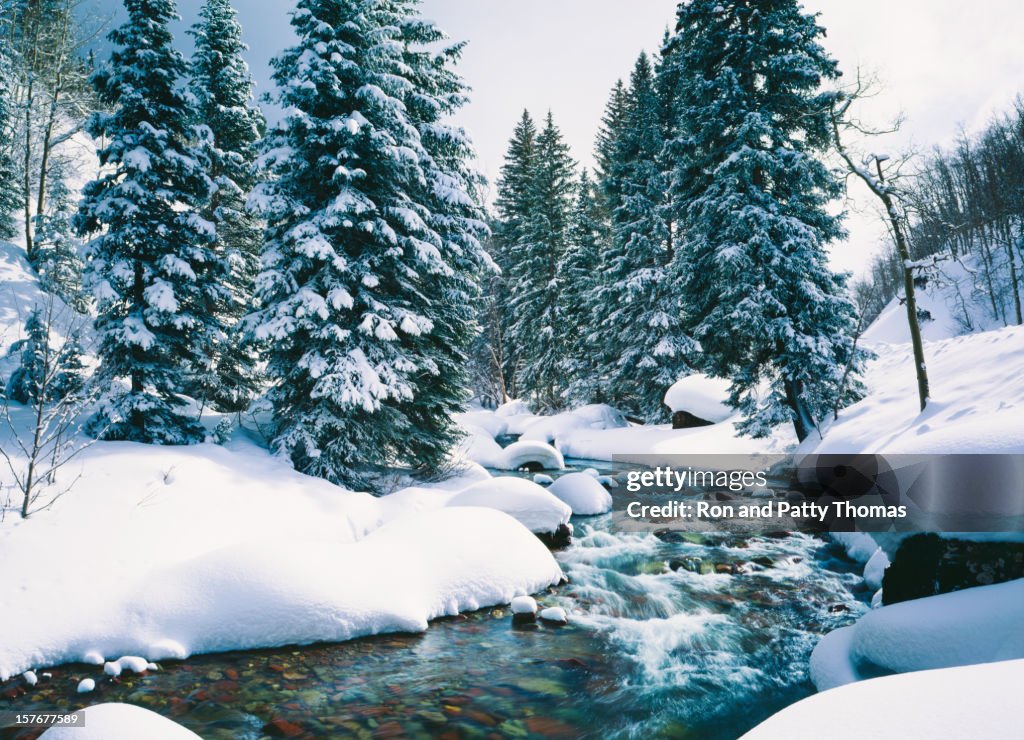 Schneebedeckten Cascade Creek In Lake Tahoe, California