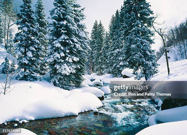 cascata creek neve em lake tahoe, na califórnia, - lago tahoe - fotografias e filmes do acervo