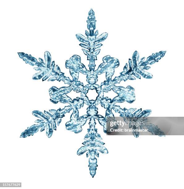 snowflake - snow flakes stock pictures, royalty-free photos & images