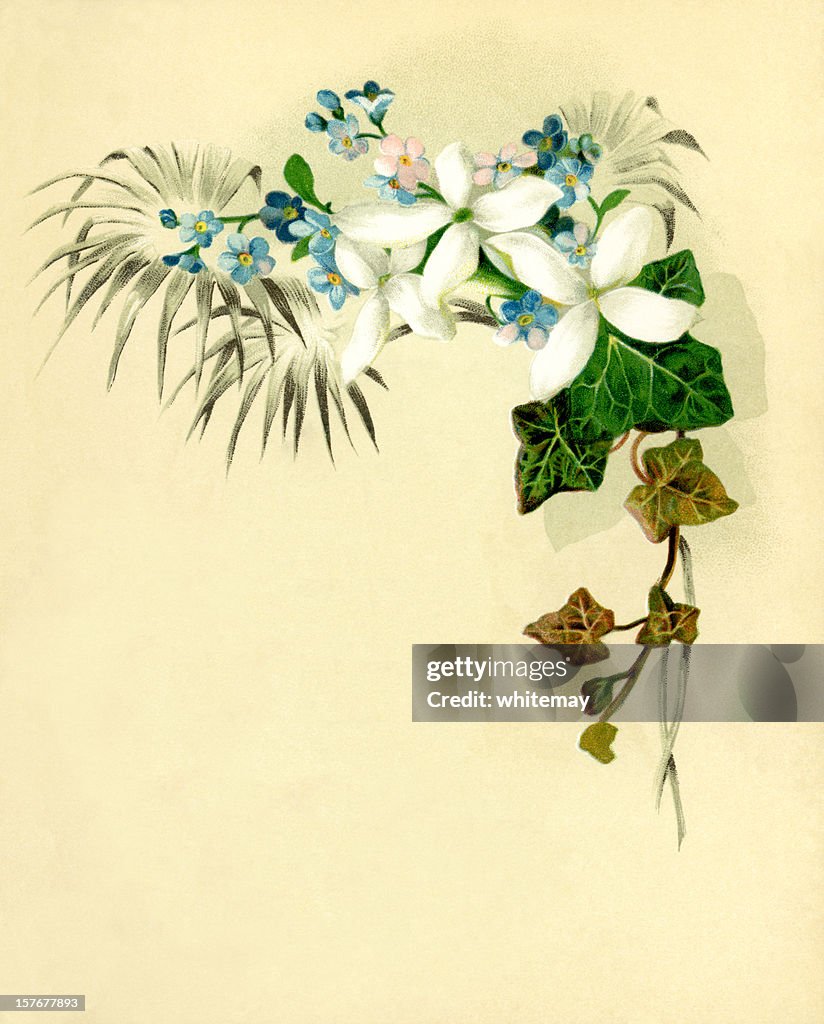 Victorian flower corner border