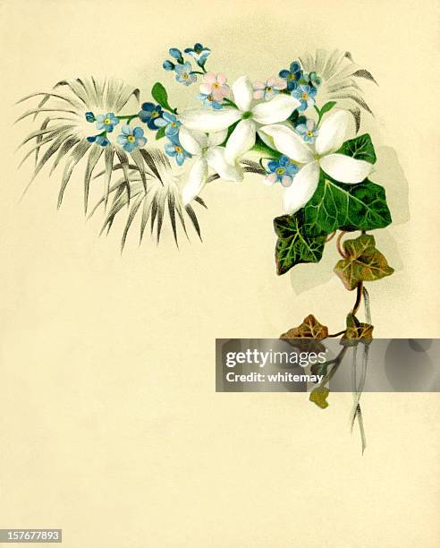 victorian flower corner border - anemone flower arrangements stock illustrations