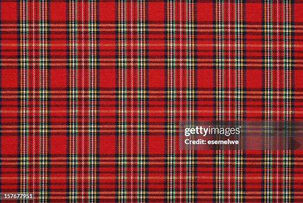 gingham pattern fabric - schotland stockfoto's en -beelden