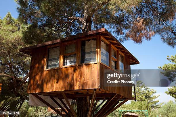 awesome tree house up high in single tree - tree house stock pictures, royalty-free photos & images