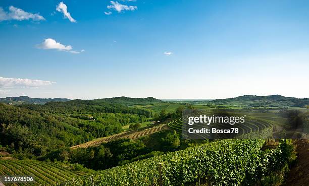 vista panoramica di azienda vinicola con cielo sereno - friuli foto e immagini stock