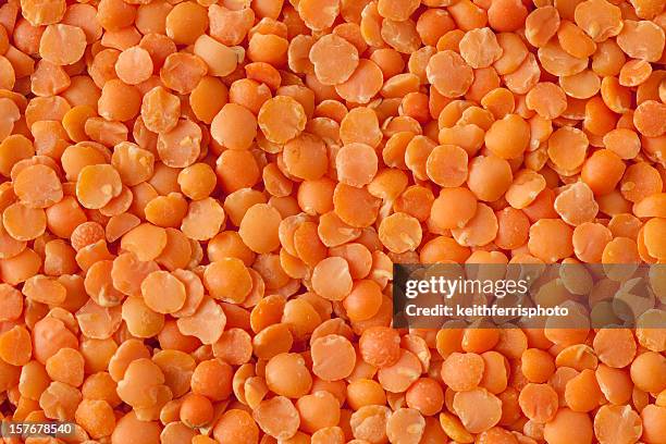 red lentils. - red lentil stock pictures, royalty-free photos & images
