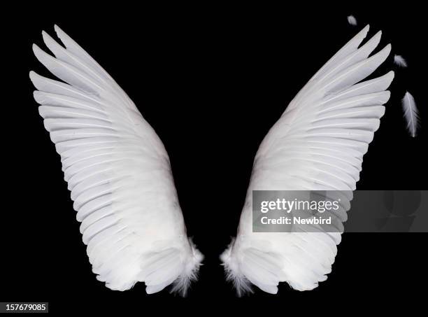 wings on black background - angel stock pictures, royalty-free photos & images