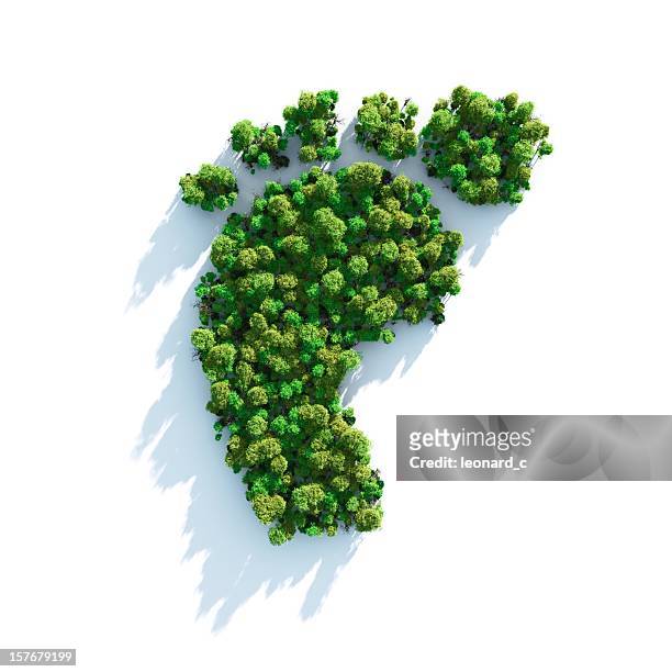 footprint comprised of greenery and shrubs - footprint stock pictures, royalty-free photos & images