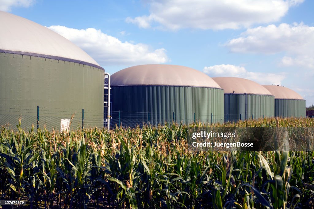 Four silos in a biogas plant