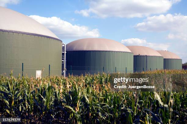 four silos in a biogas plant - bio diesel stock pictures, royalty-free photos & images