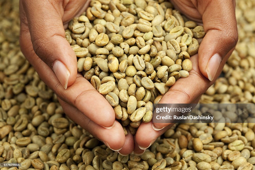 Woman holding un-roasted coffee beans.