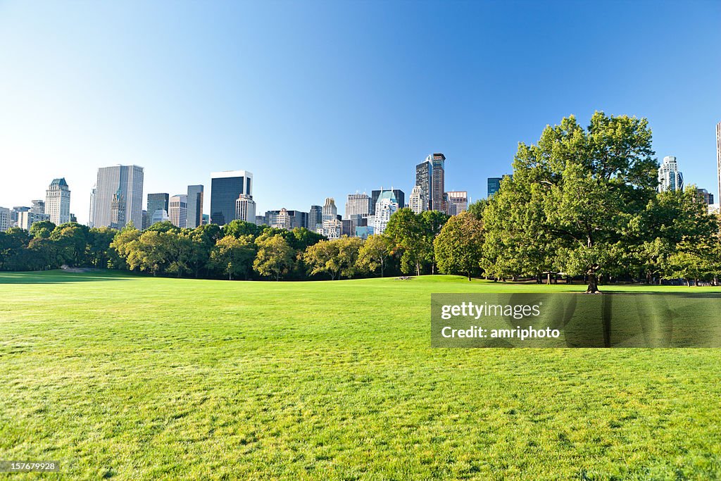 Central Park with Manhattan skyscrapers behind
