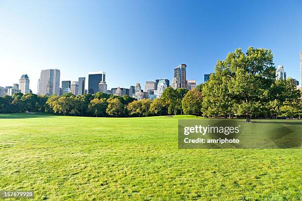 central park with manhattan skyscrapers behind - central park view stockfoto's en -beelden