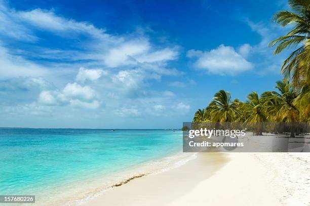 tropical white sand island beach - bahamas stock pictures, royalty-free photos & images