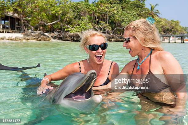 women playing with a dolphin in the tropics - swimming with dolphins stock pictures, royalty-free photos & images