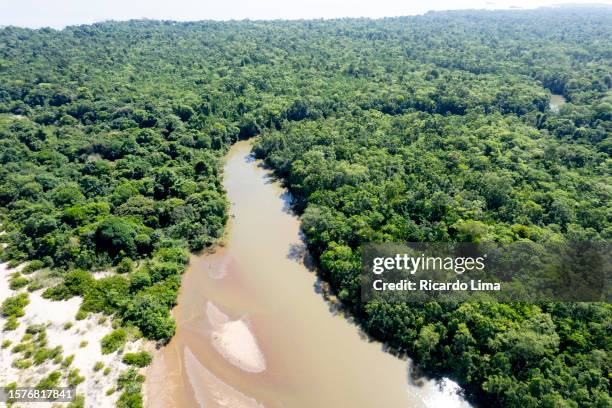 aerial view of forest, pará state, brazil - amazonia fotografías e imágenes de stock