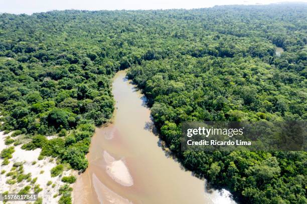 aerial view of forest, pará state, brazil - foret amazonienne photos et images de collection