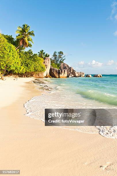 surf lapping idyllic tropical island beach palm trees lagoon seychelles - seychelles 個照片及圖片檔