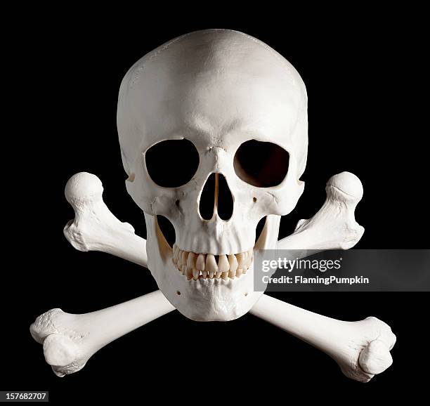 photo de pirate tête de mort. - tête de mort photos et images de collection