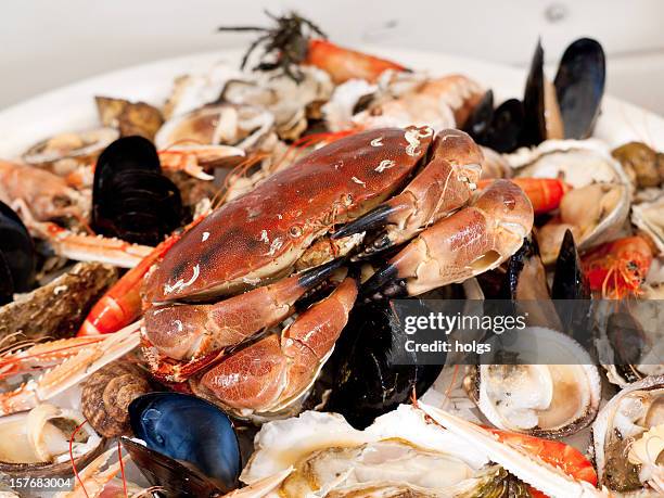 seafood platter - seafood platter stockfoto's en -beelden