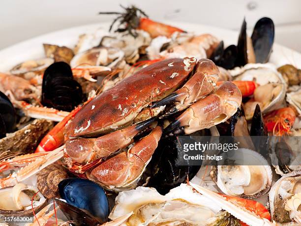 seafood platter - kräftdjur bildbanksfoton och bilder