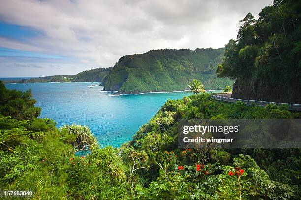road hasta hana-maui .hawaii - carretera principal fotografías e imágenes de stock
