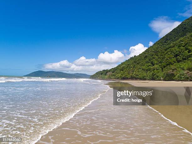 cape tribulation waterfront - cape tribulation stock pictures, royalty-free photos & images