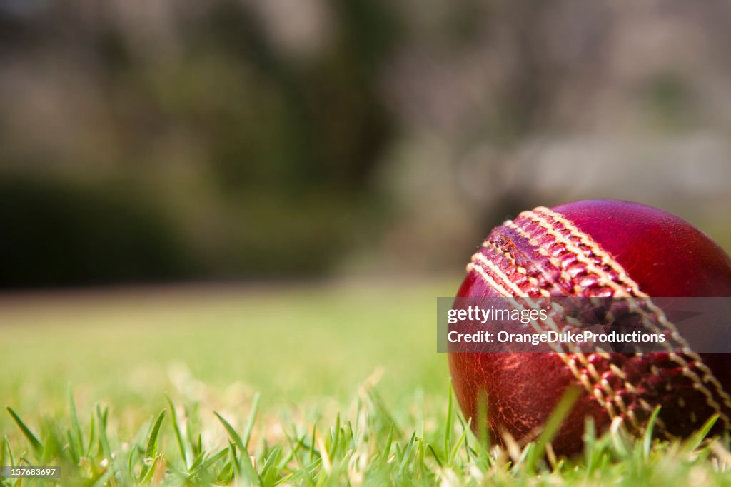 Cricket ball on grass