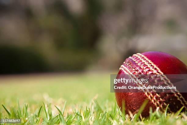 cricket ball on grass - kricketplan bildbanksfoton och bilder
