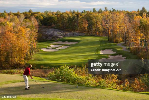 golfer getting ready to swing on a beautiful fall day - muskoka stock pictures, royalty-free photos & images