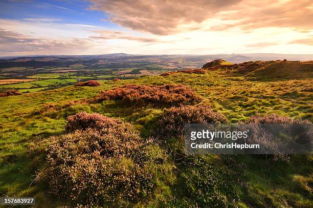 the wrekin, shropshire - shropshire stock pictures, royalty-free photos & images