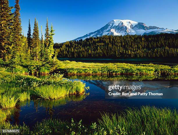 mount. rainier national park - washington state mountains stock pictures, royalty-free photos & images