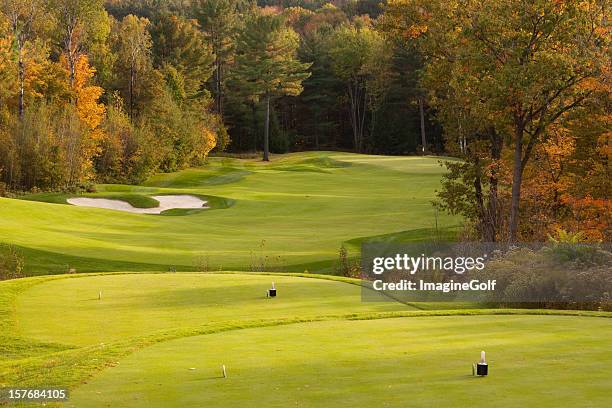 beautiful golf green and sand pit - tee box stock pictures, royalty-free photos & images