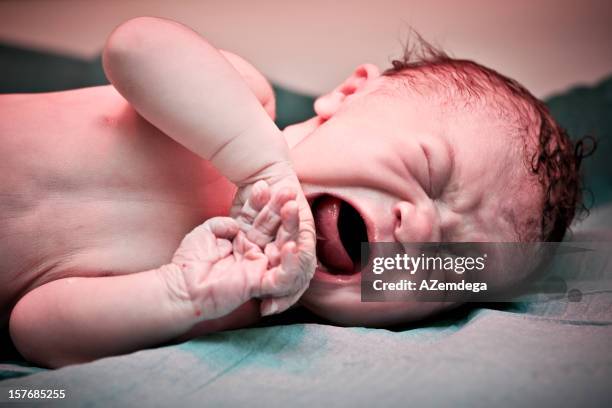 newborn - breathing new life stock pictures, royalty-free photos & images