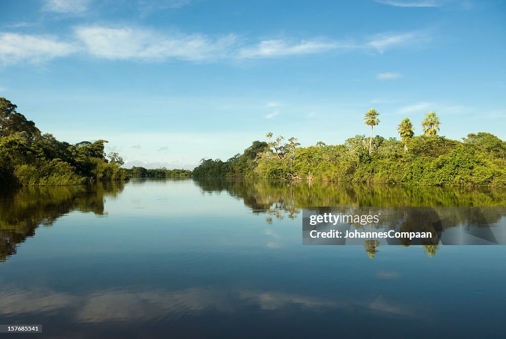 Pantanal wetlands, Brazil