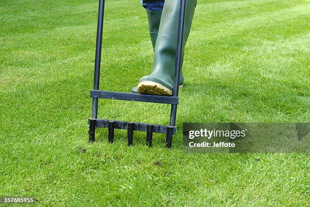 lawn aerating - lawn stock pictures, royalty-free photos & images