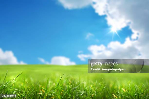 frescura - green de golf fotografías e imágenes de stock