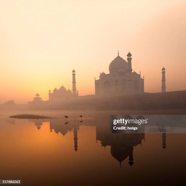 taj mahal at dawn - agra 個照片及圖片檔