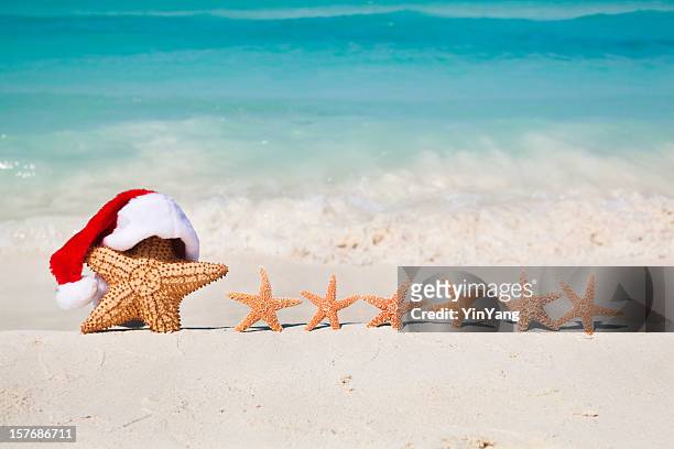 christmas santa claus starfish in tropical beach family vacation holiday - caribbean christmas 個照片及圖片檔