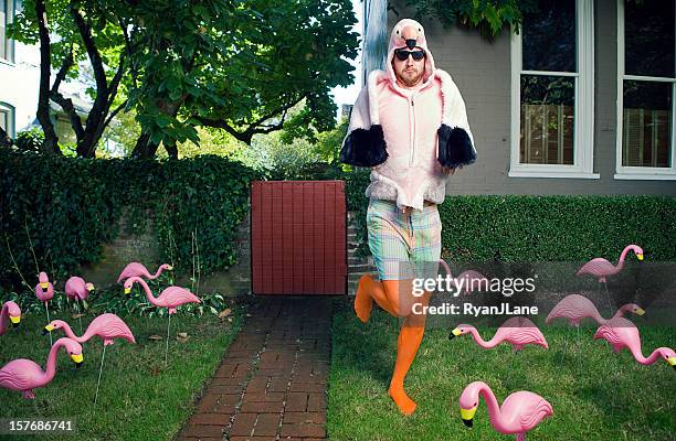 flamingo mann lawn - standing on one leg stock-fotos und bilder