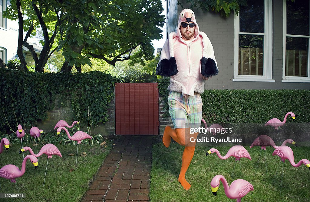 Flamingo homme pelouse