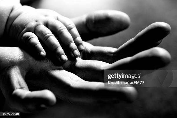 holding baby hand - black and white hands stock pictures, royalty-free photos & images