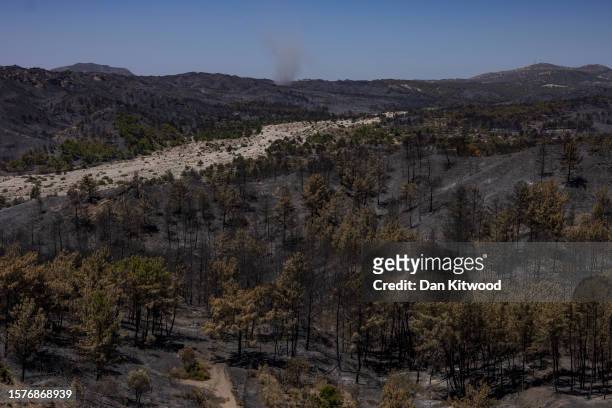 Burnt ground on July 28, 2023 in Asklipio, Rhodes, Greece. Since the wildfires that swept across the south of the island over the last few days many...