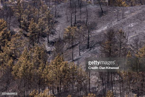 Burnt ground on July 28, 2023 in Asklipio, Rhodes, Greece. Since the wildfires that swept across the south of the island over the last few days many...