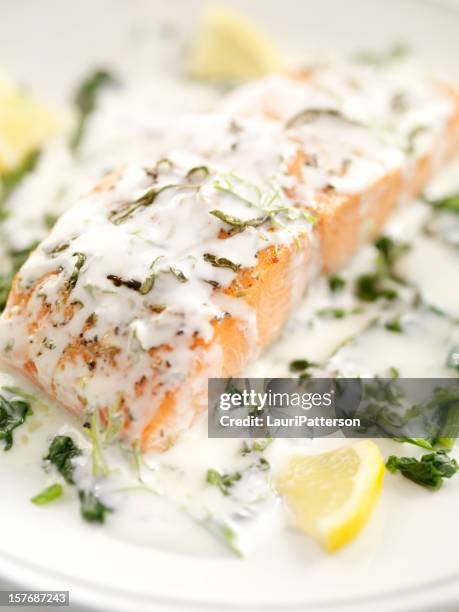 grilled salmon with spinach - bechamel sauce stock pictures, royalty-free photos & images