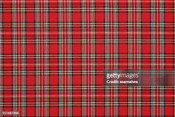 padrão de tecido guingão - cultura escocesa imagens e fotografias de stock