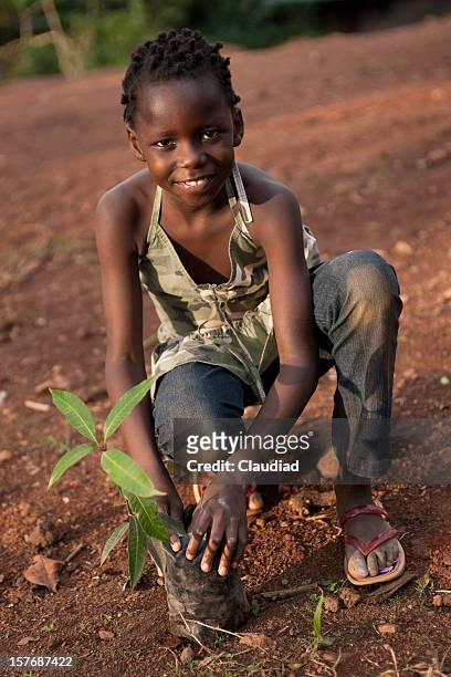 african girl planting mango tree - mango stock pictures, royalty-free photos & images