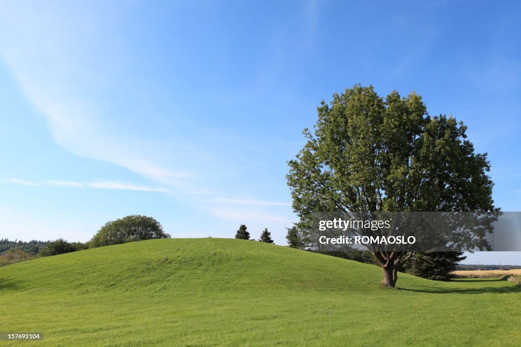 Oseberghaugen- burial mound,Tønsberg Vestfold Norway